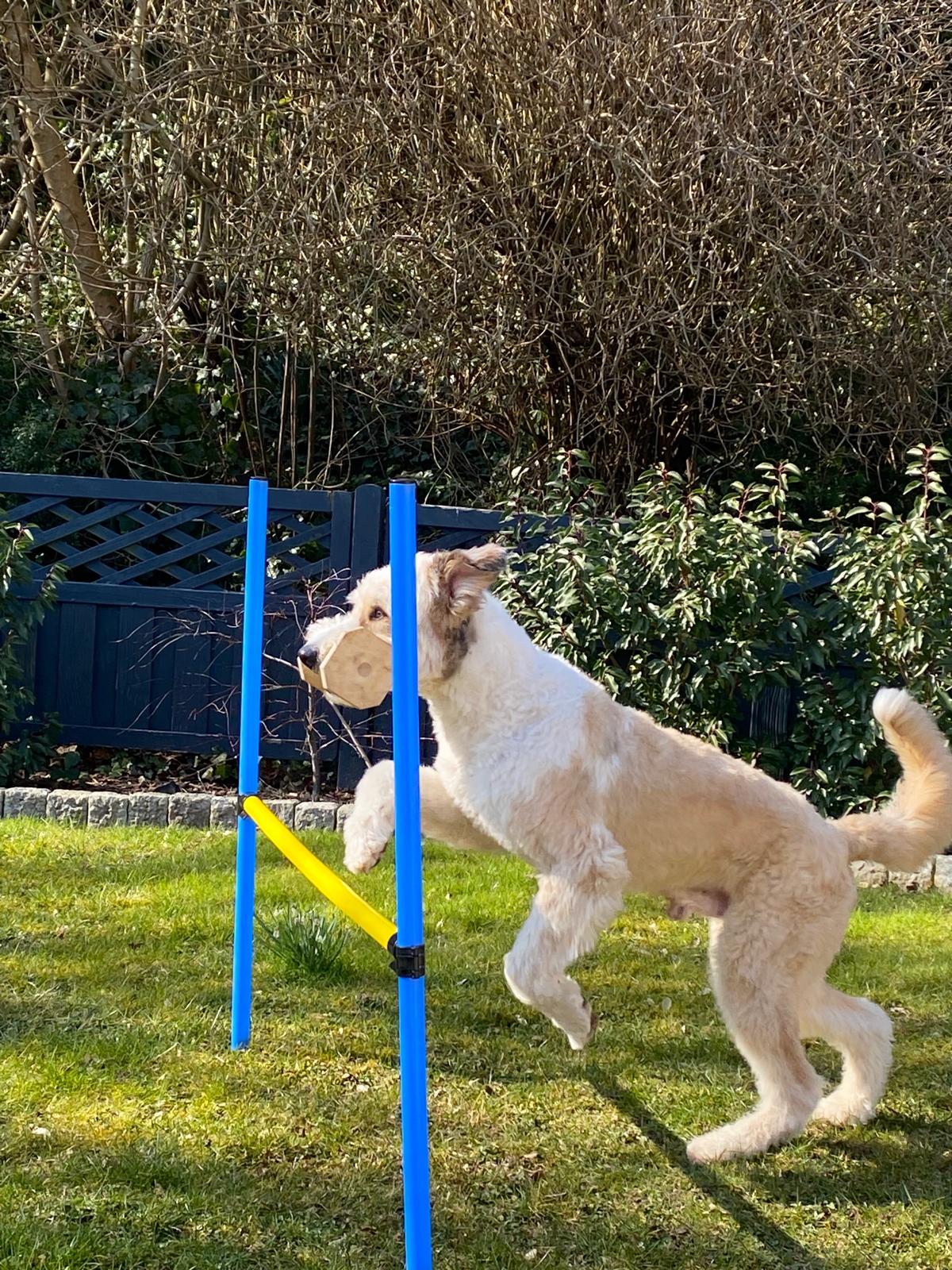 Sjefke tijdens een oefening